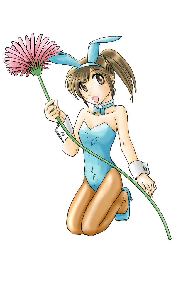 Firealpacaで塗ったよ げふり な日々 ブログ編